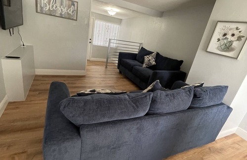 Tampa Apartment | Few blocks from Raymond James Stadium