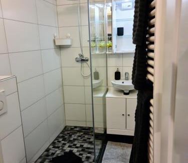 Center Apartment | Fewo-Alter