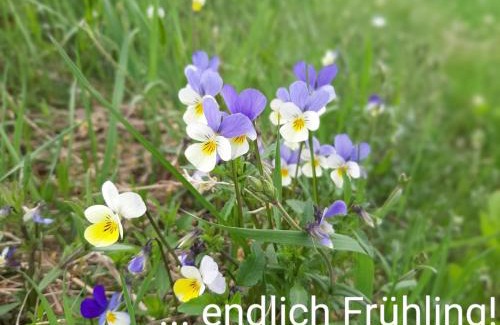 Annaberg-Buchholz Apartment | Fewo an der Teufelskanzel