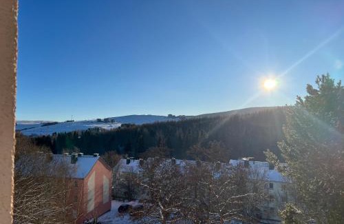 Oberwiesenthal Apartment | Fewo Bergblick