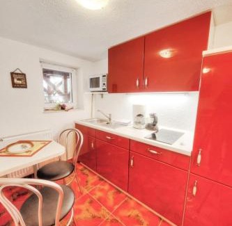 Oberschoenau Apartment | Fewo Hoher Stein