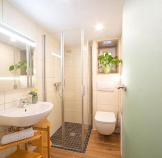 Oberschoenau Apartment | Fewo Hoher Stein
