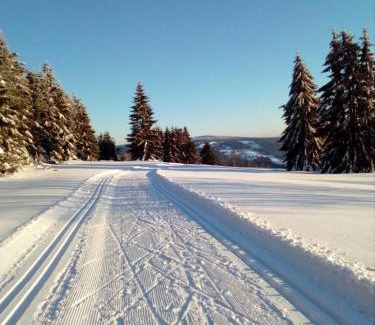 Klingenthal Apartment | Fewo-Mueller