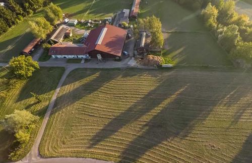 Schwanau House | FeWo Oberle