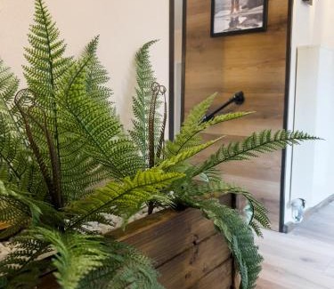 Unterallgau Apartment | FeWo Ottobeurens Schmuckstück: Gemütlich-Stylische Wohnung