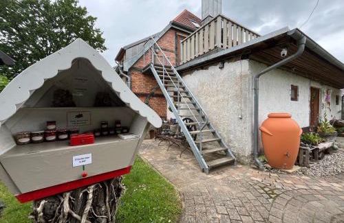 Biendorf House | FeWo's am Gutshaus im Ostseeland