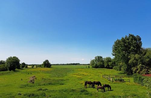 Woquard Apartment | FeWo Vißer‘s Landblick