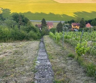 Naumburg Apartment | FeWo Weinberghaus "Zum Steinkauz"