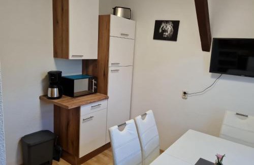 Plauen Apartment | FeWo WIEKO Plauen Leibnizstr. H1, DG links