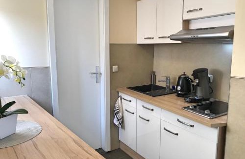 Ruedesheim am Rhein Apartment | Fewo Zur Goldenen Traube
