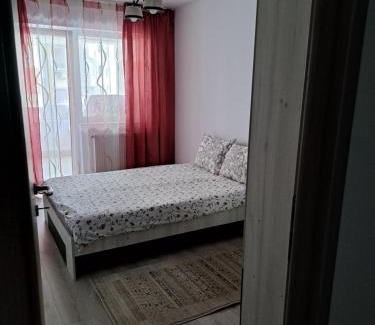 Bacau Apartment | Fiald-Apartament Nou