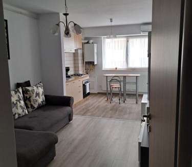 Bacau Apartment | Fiald-Apartament Nou
