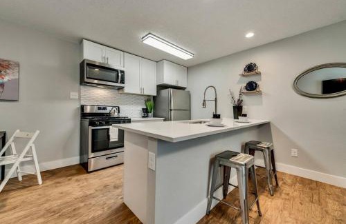 Old East Dallas Apartment | FIFA Ready The Brilliant Flat Arboretum Tickets Included