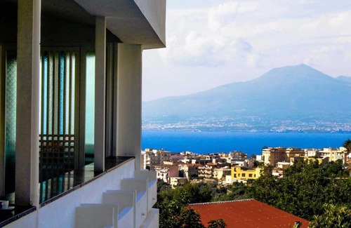 Vico Equense Villa | Fig Tree