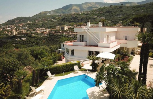 Vico Equense Villa | Fig Tree