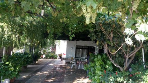 Samothrace House | Filoxenia Rooms