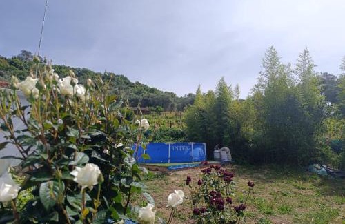 Los Marines House | Finca del Abu