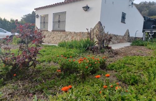 Los Marines House | Finca del Abu