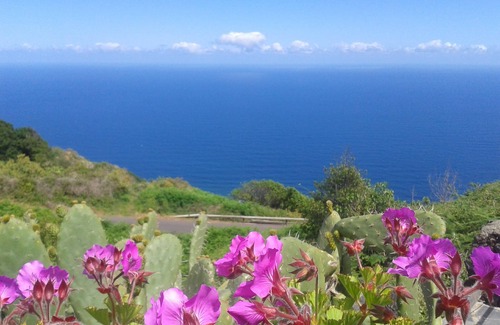 El Tanque House | Finca El Lance the green oasis in the north of Tenerife