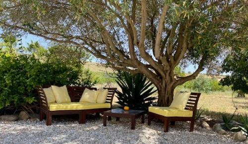 Alora Bed & Breakfast | Finca El Limonar