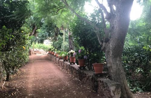 Tegueste House | Finca El Vergel Rural