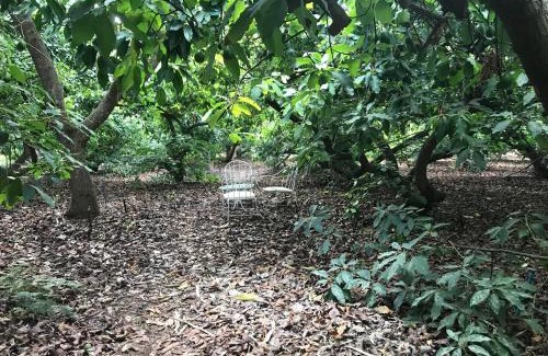 Tegueste House | Finca El Vergel Rural