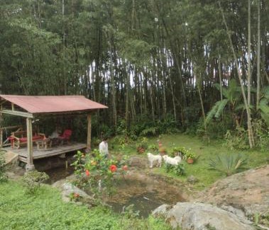 Sasaima House | Finca exclusividad familiar o grupo de amigos capacidad hasta 12 personas calles en placa huella, caminata ecológica