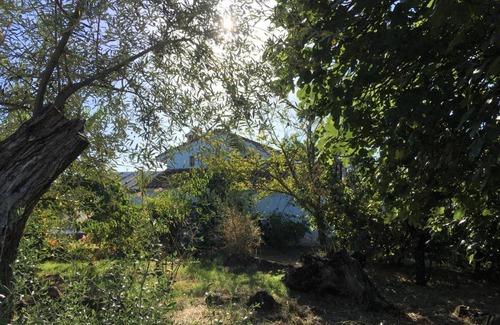 Aracena House | Finca Horno de Cal