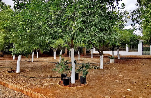 Hornachuelos House | " Finca La Fuensanta "