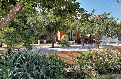 Arcos de la Frontera House | Finca La Parrilla Maison Piscine nature chevaux