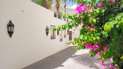 Benalmadena Apartment | Finca La Vida Loca- For adult guests