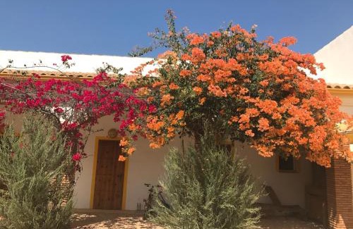 Villamartin House | finca las gateras