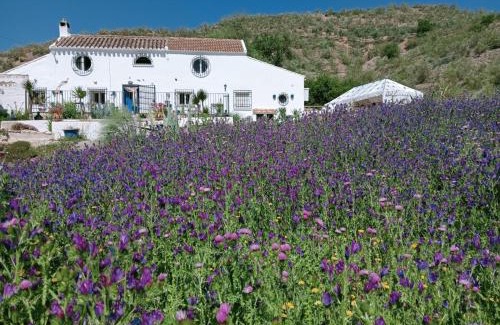 Iznajar Apartment | Finca Las Minas - Studio