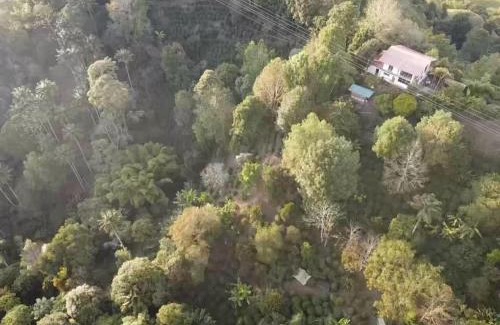 Salento Hotel | Finca Momota Salento