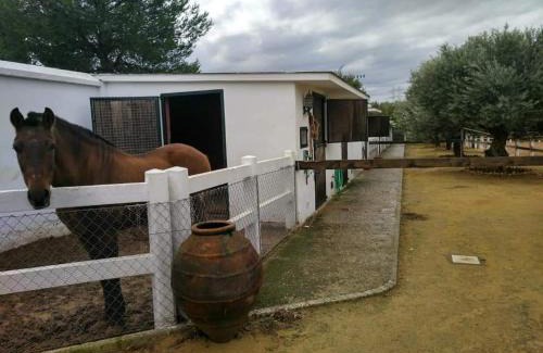 Alcala de Guadaira Villa | Finca Rural La Cañera 16 huéspedes