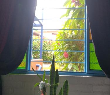 Filandia Bed & Breakfast | Finca San Miguel Filandia
