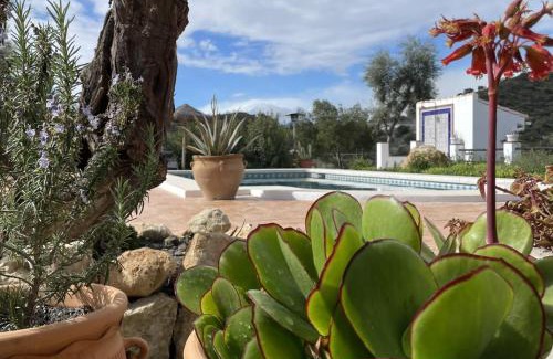 Alora Bed & Breakfast | Finca Valle Verde
