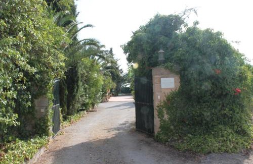 Son Antem House | Finca Verde