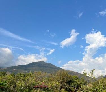 Palmira House | Finca Villa Oliva