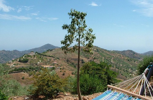 Canillas de Albaida Villa | Finca Viña - Dreamhouse with private pool and fantastic mountain and sea view.