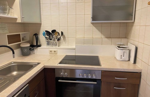 Viehhofen Apartment | Fine apartment with terrace in prime location