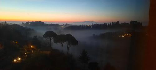 Siena Apartment | Finestra sul verde