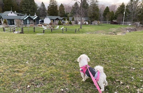 Ithaca Apartment | Finger Lakes Cottage at New Park - sleeps up to 4, dog friendly