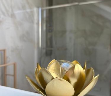 Millefonti Apartment | Fior di Loto Suite - Lingotto