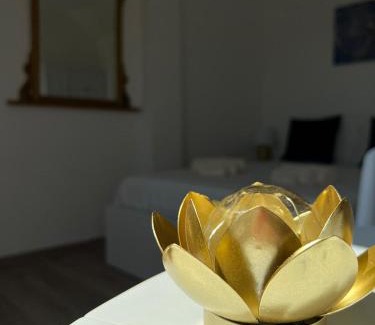 Millefonti Apartment | Fior di Loto Suite - Lingotto