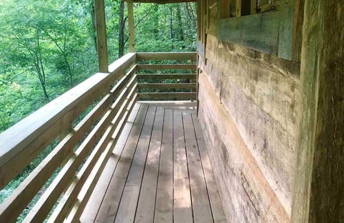 Suches Cabin | Firefly Bend Treehouse - View of the National Forest from Your Bed