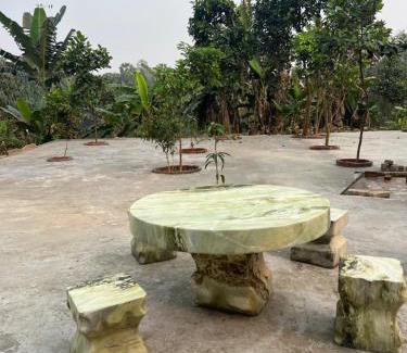 Tran Yen House | Fish Farm Homestay 1