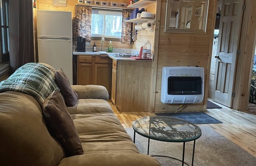 Town of Amboy Cabin | Fishing ATV and Snowmobiling. Welcome to Snowy Pines p