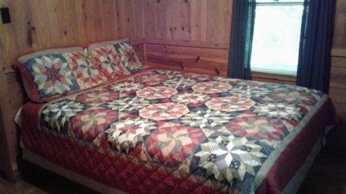 Hot Springs House | Five Points Lake Hamilton Cabin 6
