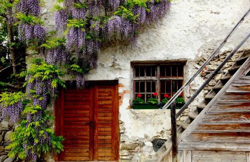 Rifiano Apartment | Fixlhof
